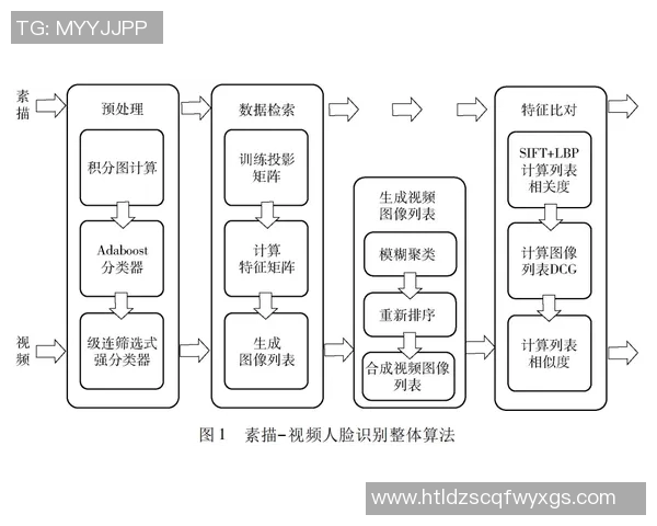 深入解析am与vs的含义及其在不同语境中的用法与区别